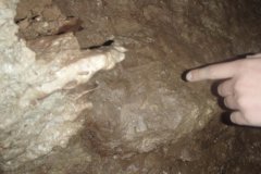 3d0e17791fbe43d5a4c2f7ab69a20e57