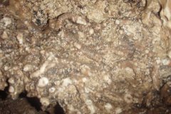 f64eb9fa8c6d433ca4379e095d9a13ad