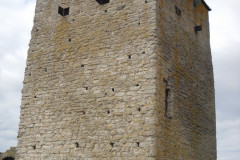 DSCN0309