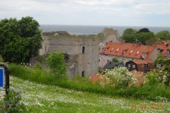 DSCN0316