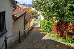 DSCN0321
