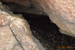 DSCN0333