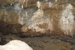 DSCN0335