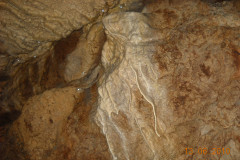 DSCN0337