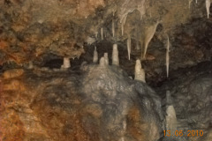 DSCN0339