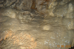 DSCN0342