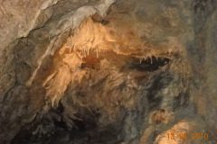DSCN0346