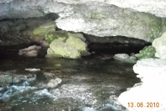 DSCN0351