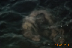 DSCN1018