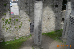 DSCN1049