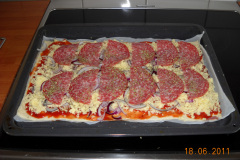 DSCN1068