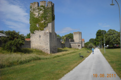 DSCN1098