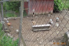 DSCN0088