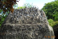 DSCN0144