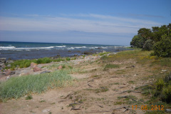 DSCN0172