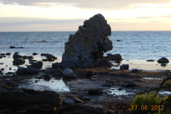 DSCN0186